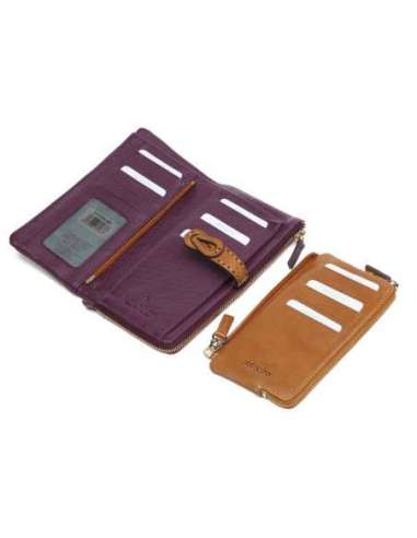 Cartera Abbacino 71174